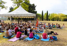 Festival dello Yoga (settembre 2014) - display this album Festival dello Yoga (settembre 2014)